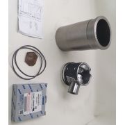 гильзо-поршневая 53443.1004006-10 (г+п+кол.пор.+палец)